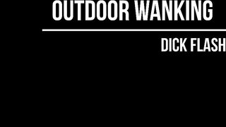 Outdoor Wanking Sex Video featuring amateur and professional porn stars, striping down and enjoying public exhibitionism for intense pleasure and new levels of arousal